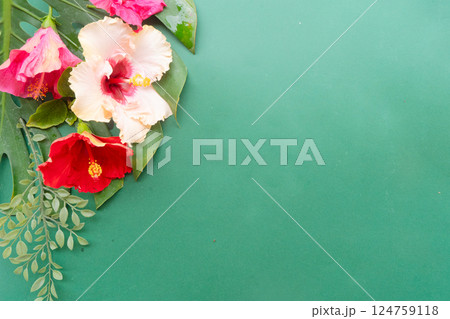 Tropical flowers and leaves, summer vacational background 124759118
