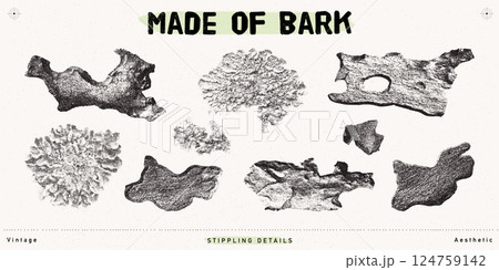 Vintage-Inspired Stipple Illustration of Lichens and Bark Pieces, Vintage-Inspired Stipple Illustration of Lichens and Bark Pieces, 124759142