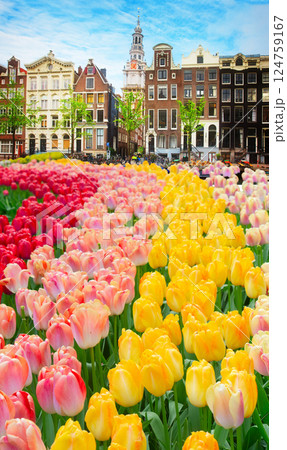 Houses of Amstardam, Netherlands 124759167