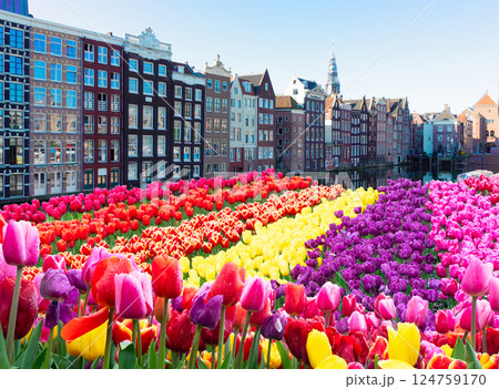 Houses of Amstardam, Netherlands 124759170