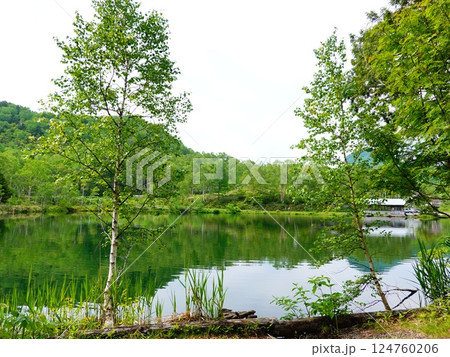 長野県山ノ内町 志賀高原 木戸池周辺の風景より 長野県山ノ内町 志賀高原 木戸池周辺の風景より 124760206