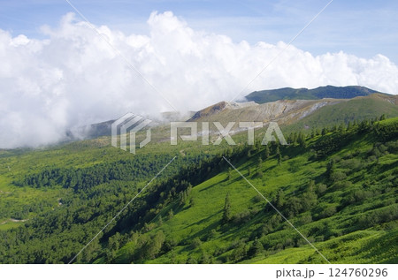 夏の草津白根山 124760296