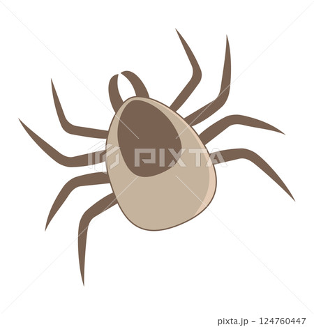 A brown tick with eight legs on white background A brown tick with eight legs on white background 124760447