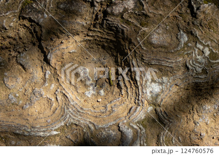Textured soil, with signs of erosion. 124760576