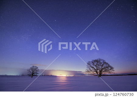 冬の北海道　はるにれの木と天の川 124760730
