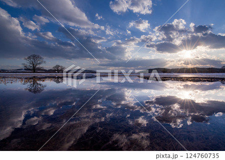 冬の北海道　はるにれの木と夕陽のリフレクション 124760735