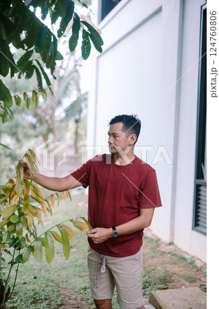 Man Admiring the Foliage in His Backyard Garden on a Sunny Day Man Admiring the Foliage in His Backyard Garden on a Sunny Day 124760806