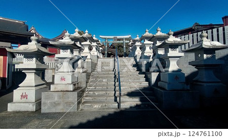 日本唯一の夢叶え大明神・夢結びの神様… 稲敷『大杉神社』 124761100