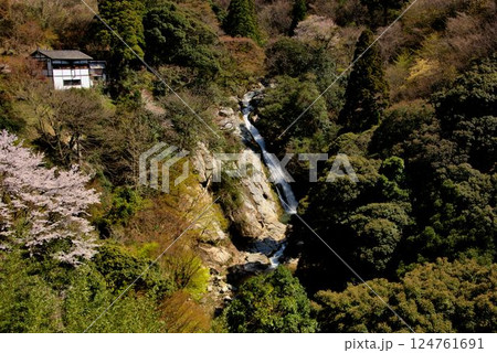 観音の滝 佐賀の風景 観音の滝 佐賀の風景 124761691