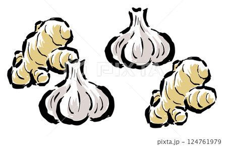 ニンニクと生姜　筆タッチ手描きイラスト 124761979