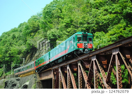 深緑の山間の鉄橋を渡る南海電鉄の観光特急「天空」 124762079