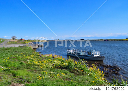 利根川の右岸と左岸を結ぶ渡船の渡し場、赤岩の渡し 124762092