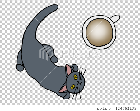Cafe latte and gray cat 124762135