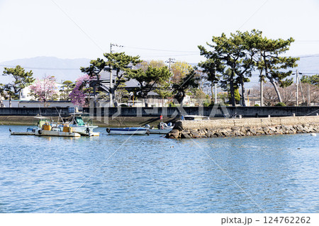 香川県観音寺市の観音寺港の春の風景 124762262