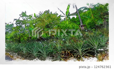 スケッチ風 スケッチ 風景 キレイ 俯瞰 ドローン写真 上空 空 山 空中 浮遊 幻想的 ドローン 124762361
