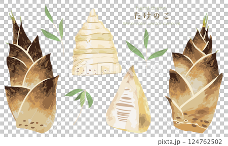 A set of illustration materials of cute bamboo shoots roughly drawn in watercolor 124762502