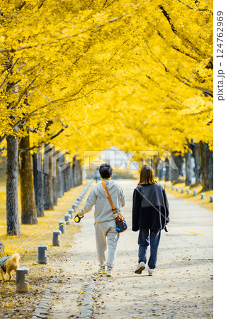 ＜学びの森＞イチョウ並木の下で散布 124762969