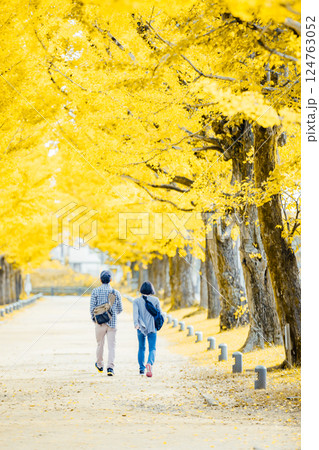 <学びの森>イチョウ並木道のお散歩 <学びの森>イチョウ並木道のお散歩 124763052