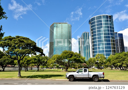 ハワイの休日 ハワイの休日 124763129