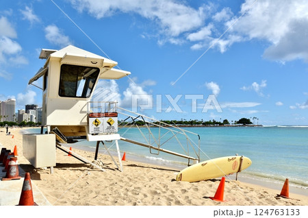 ハワイの休日 124763133