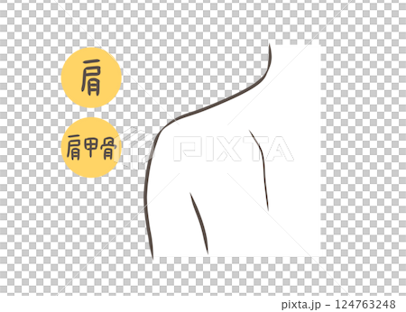 Female shoulder parts illustration 124763248