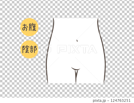 Illustration of a woman's lower body parts seen from the front 124763251