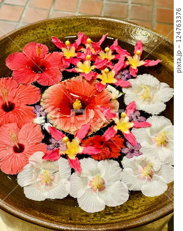 水に浮かぶハイビスカス 124763376