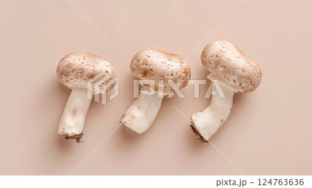 Flat lay white mushroom organic natural vegetable copy space isolated 124763636
