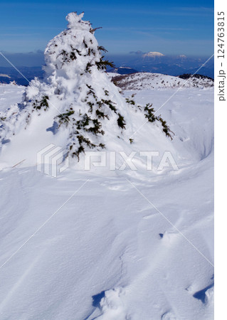 雪の岩樋山山頂からの眺望　樹氷　大山方面 124763815