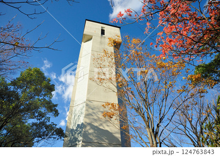 あいち健康の森公園の紅葉 あいち健康の森公園の紅葉 124763843