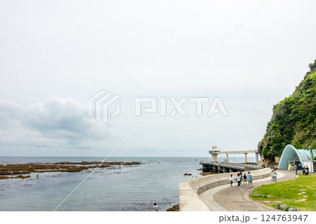 かつうら海中公園 勝浦海中公園 岩場が多くウニやアワビが生息 かつうら海中公園 勝浦海中公園 岩場が多くウニやアワビが生息 124763947