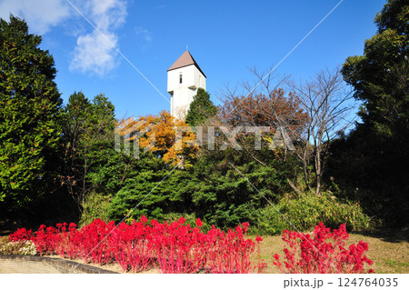 あいち健康の森公園の紅葉 あいち健康の森公園の紅葉 124764035