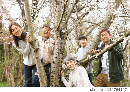 サイズ大　孫の入学祝いに家族5人で記念樹を見ながらお花見 124764147