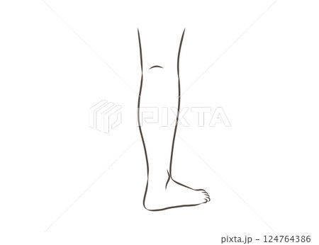 後ろから見た女性の脚のパーツイラスト 後ろから見た女性の脚のパーツイラスト 124764386