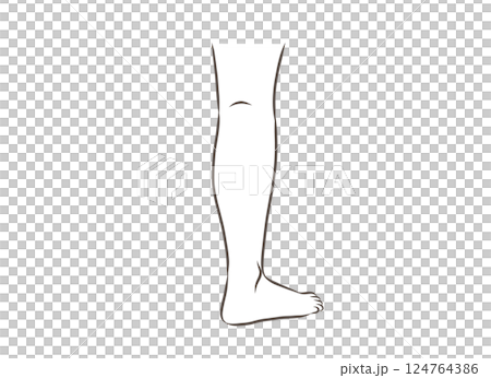 後ろから見た女性の脚のパーツイラスト 後ろから見た女性の脚のパーツイラスト 124764386