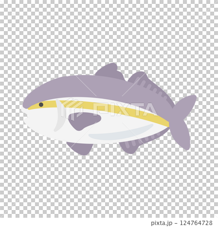 琥珀魚插圖 124764728