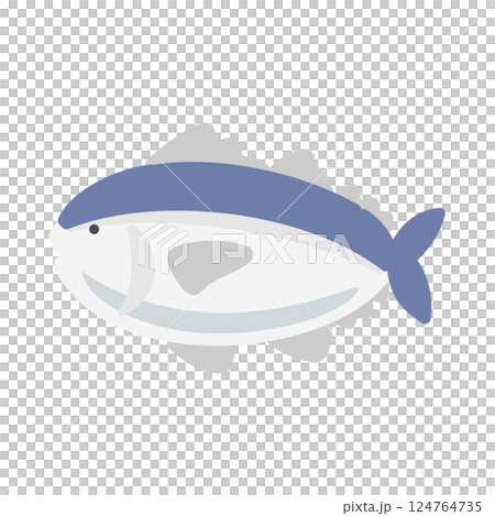 Tuna illustration 124764735