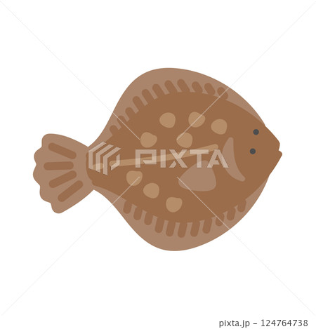 カレイ イラスト カレイ イラスト 124764738