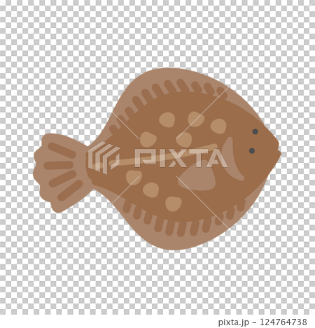 比目魚的插圖 比目魚的插圖 124764738