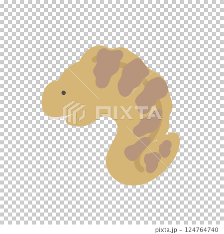 海鰻插圖 124764740