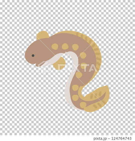 アナゴ イラスト アナゴ イラスト 124764743