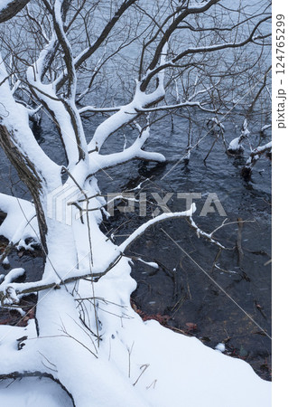 冬の多鯰ヶ池の雪景色 鳥取県 多鯰ヶ池 冬の多鯰ヶ池の雪景色 鳥取県 多鯰ヶ池 124765299