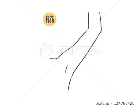 女性の脇のパーツイラスト 124765426
