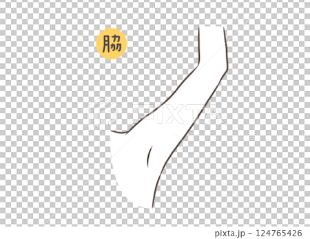 女性腋窩部位圖 124765426