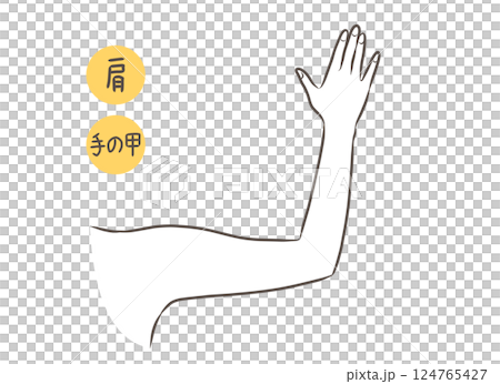 Female arm parts illustration Female arm parts illustration 124765427