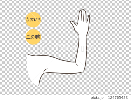 女性手臂部位圖 124765428