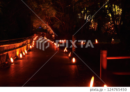 湧水町の丸池 湧水町の丸池 124765450