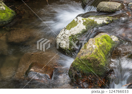 京都鞍馬の清流 鞍馬川 京都市 京都鞍馬の清流 鞍馬川 京都市 124766033