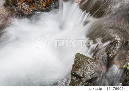 京都鞍馬の清流 鞍馬川 京都市 京都鞍馬の清流 鞍馬川 京都市 124766034