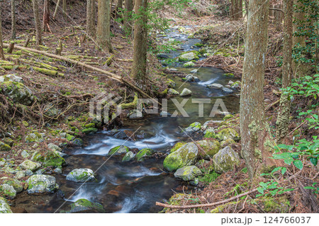 京都鞍馬の清流　鞍馬川　京都市 124766037